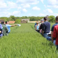 Visite d'un champ d'essais