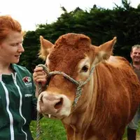 Une agricultrice et un agriculteur avec une vache limousine