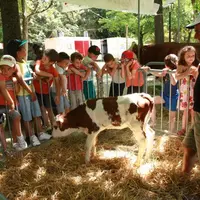 Les animaux étaient encore les stars de l’opération sourire.