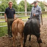 Sylvain et son père Marcel avec deux bons veaux qu’ils vont garder pour l’élevage.