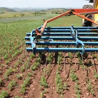 Une herse étrille et une bineuseà l’épreuve à Saint Martin de Fugères