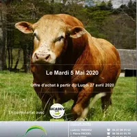 Les offres d’achat sont à faire par mail entre le 27 avril et le 4 mai.