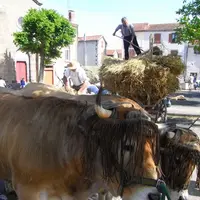 Marcher pour faire renaître le passé