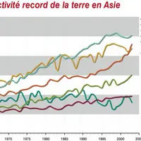 De 1961 à 2003, les surfaces mises en culture n’ont que faiblement augmenté (+ 0.3 % par an à l’échelle mondiale), l’essentiel de la croissance de la