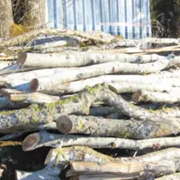 Valoriser le bois bocager de votre exploitation, telle est la devise de mission haies Auvergne.