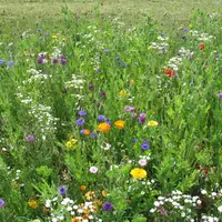 Les chercheurs de l'Inra intègrent la biodiversité comme élément central de la vie des écosystèmes.