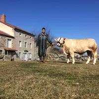 Orfèvre et son jeune éleveur Florian Chambon seront la semaine prochaine sur la grande scène de la génétique bovine européenne.