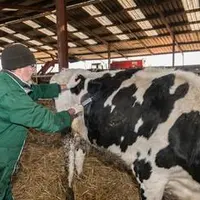 «La désertification vétérinaire est le dernier signe avant la désertification agricole», regrette Laurent Duplomb.