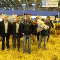 En race montbéliarde, le Gaec Castanet a ouvert la moisson des médailles.
