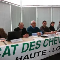 L’année 2013 n’a pas été très bonne pour les éleveurs de chevaux de Haute-Loire.