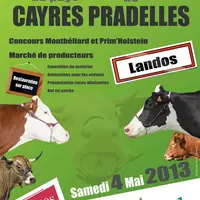 Affiche du comice Cayres Pradelles