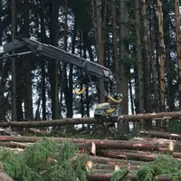 Les professionnels du bois attendent des mesures structurelles afin de permettre aux scieries françaises de pouvoir travailler le bois français.