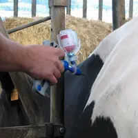 La demande de doses vaccinales de la part des éleveurs est
inférieure aux prévisions.