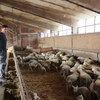 «On fait partie intégrante d’une filière, dans laquelle on a besoin les uns des autres» explique Roland Simon (ici avec Medhi Viallet de l’APIV Auverg
