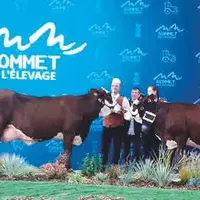 Narcisse de Richard Tholance et Nièvre du Gaec La Ferme du Barry (15), respectivement Prix de Championnat Adulte et Jeune.