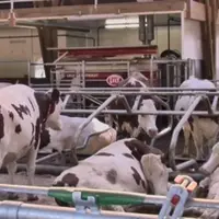 Robot de traite Lely Astronaut