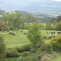 Une loi pour que l'agriculture française conserve son leadership.