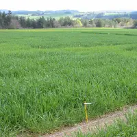 Prenez connaissance des résultats d’essais en vous connectant 
sur le site internet de la Chambre d’Agriculture.