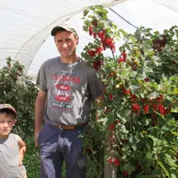 Denis Chometon avec son fils dans les parcelles de groseilles en pleine production.