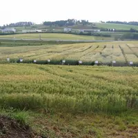 En 2009, les expérimentations étaient situées à St Flour dans le Cantal (photo) et Valprivas en Haute-Loire.