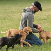 Un chien de berger qui fait partie du patrimoine et de l’histoire de la région.