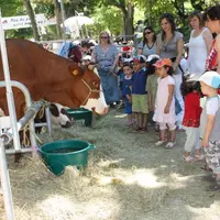 Devant les vaches, Denis Fayolle a répondu à la curiosité des enfants en fournisssant des explications simples et précises.