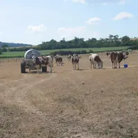 Lé déficit pluviométrique des 6 derniers mois se fait sentir.