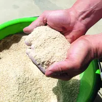 Le prix de l'alimentation animale a bondi depuis 2021.