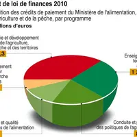 Projet de loi de finances 2010 en millions d'euros.