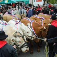 La Fête du Fin Gras du Mézenc 2016 est organisée à Fay sur Lignon ; rendez-vous le 5 juin.