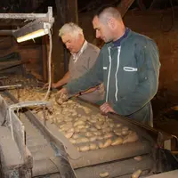 Christophe et Eugène Aubert au travail sur la trieuse-calibreuse. Cette année, l’humidité et le manque de chaleur ont induit une baisse de rendement é