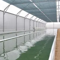 La serre d’Amandine Soyez sera équipée, à terme, de trois bassins de production d’environ 15 m³ chacun, avec une roue à aube et une table de récolte