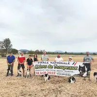 L'Association Chien de Troupeau 43 présente son événement estival : la finale nationale de chiens de troupeaux sur bovins le 14 août à Chaspuzac.