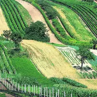 La Slovaquie importe 300 000 hl de vin par an.