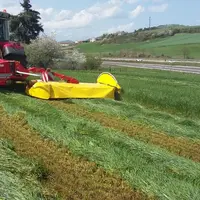 L’impression visuelle a été confirmée par la mesure de la MS : 29 % à 48 heures.