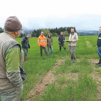 Visite d'essais céréales en montagne à Celles-sur-Durolle (63)