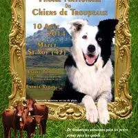 Affiche de la finale nationale des chiens de troupeaux au Mazet St Voy.