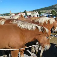 Cette aide est destinée aux éleveurs individuels ou en société qui participent à l'effort d'adaptation de leur production.