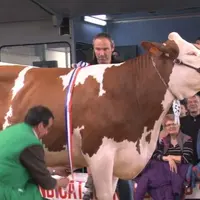 Douchka, miss montbéliarde 2012