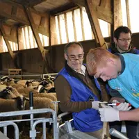 Jugés par des techniciens et des éleveurs professionnels, les candidats ont réalisé deux épreuves écrites et cinq épreuves pratiques.