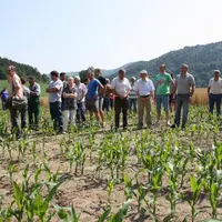 Sur une parcelle de maïs, Yannick Fialip, des agriculteurs de Beauzac et des communes environnantes et les élus locaux, Jean Proriol et Joseph Chapuis