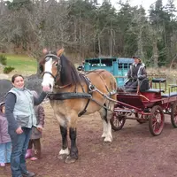 Voiture de loisirs de la famille Fournerie à Jullianges.