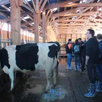 Après les épreuves, le jury a dévoilé son classement mettant en lumière les points forts et les points faibles de chaque animal.