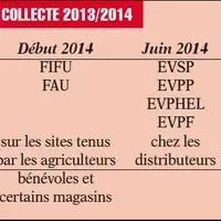 Calendrier des collectes.
