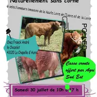 Vente de Limousin
