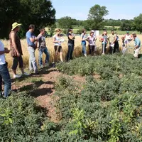La plate-forme a été miss en place par la Chambre d’agriculture de Haute-Loire en collaboration avec la Chambre régionale d’Auvergne et l’association