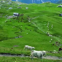 Au nom du pragmatisme, Bruxelles vient de faire plusieurs propositions concernant l’agriculture 
et les produits de montagne (ici dans le Queyras, Ha
