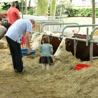 Les citadins apprécient beaucoup cette opération sourire et tout particulièrement le contact rapproché avec les animaux.