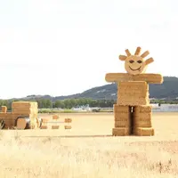 Très belle structure de paille réalisée par les JA de Brioude avec un super Jim en bottes de paille. Quelques jours après cette photo, le vent à fait