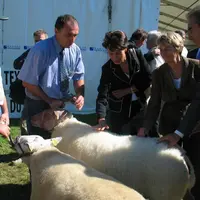 L’inauguration de la 6e édition de Tech-Ovin devrait se déroulée, le mardi 1er septembre. (Photo d’archive).